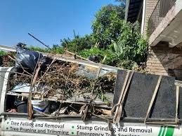 Best Basement Cleanout  in Glade Spring, VA